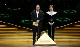 电视剧获奖,电视剧获奖盛典精彩回顾